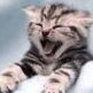 Meet your Posher, Joanne